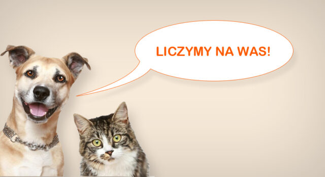 ZBIÓRKA KARMY DLA KOTÓW I PSÓW