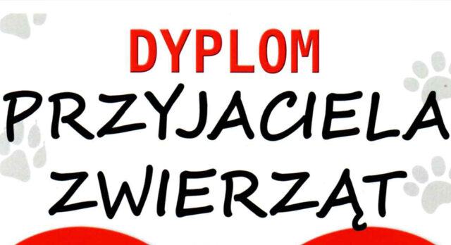 ZBIÓRKA KARMY DLA KOTÓW I PSÓW