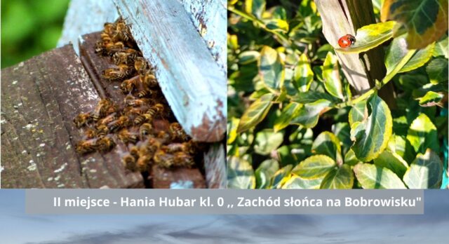 Konkurs fotograficzny – wyniki!